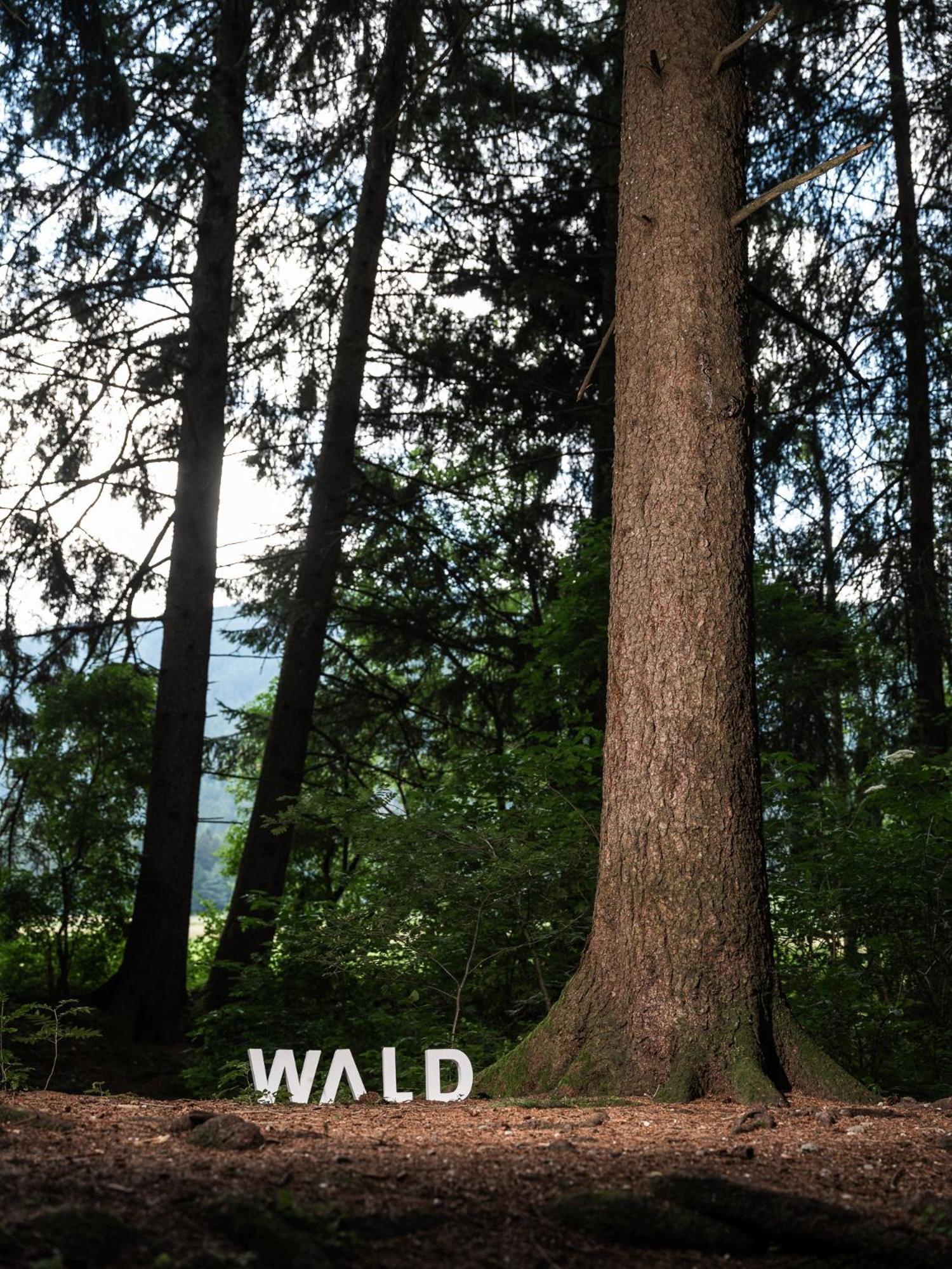 Готель Frida Am Wald Разун-ді-Сотто Екстер'єр фото